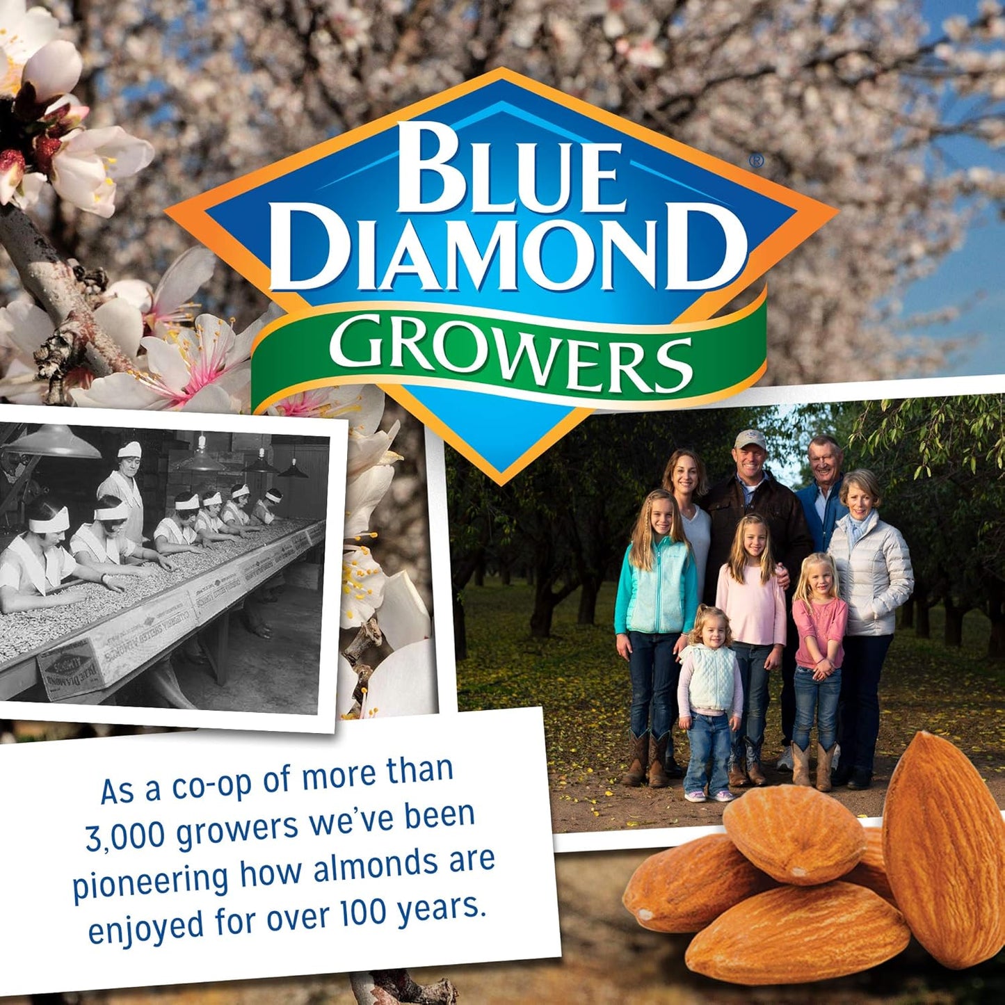 Blue Diamond Almonds Dark Chocolate Cocoa Dusted Snack Nuts